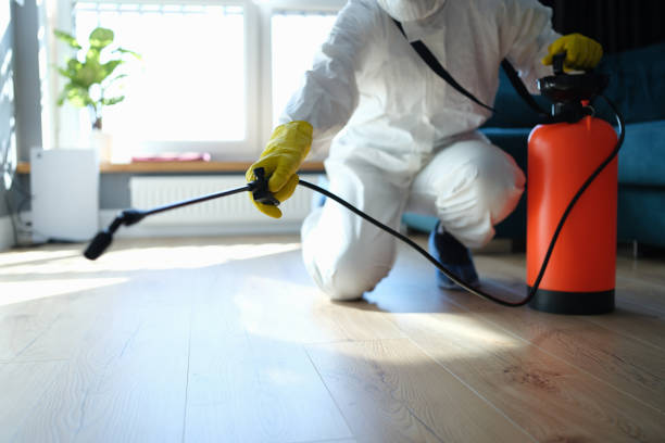 Reliable Infectious Disease Decontamination contractor in Madison, CA by Trauma Clean Pros
